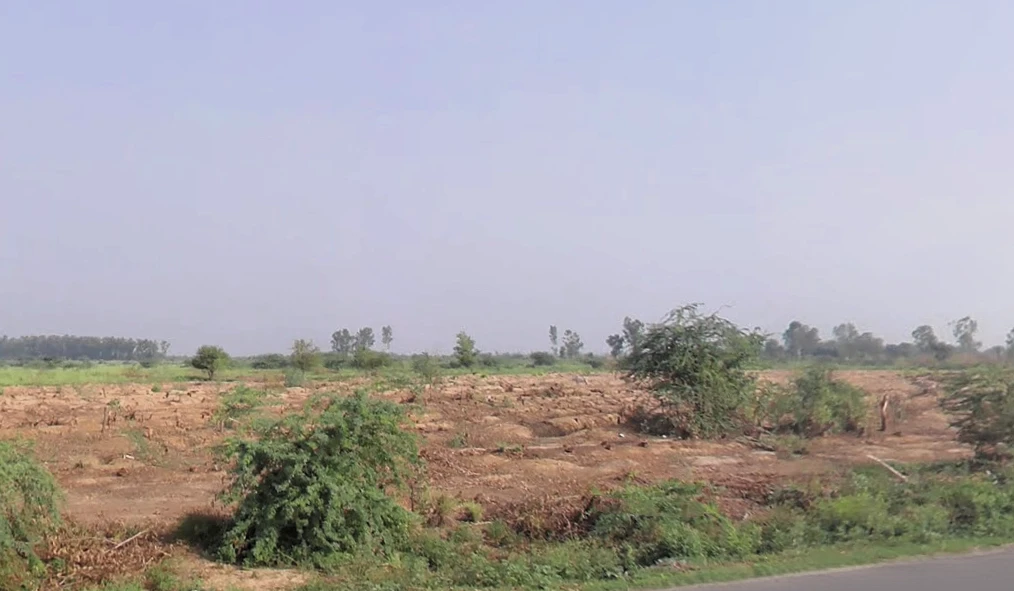 Talwandi Rana, Haryana 125005, India