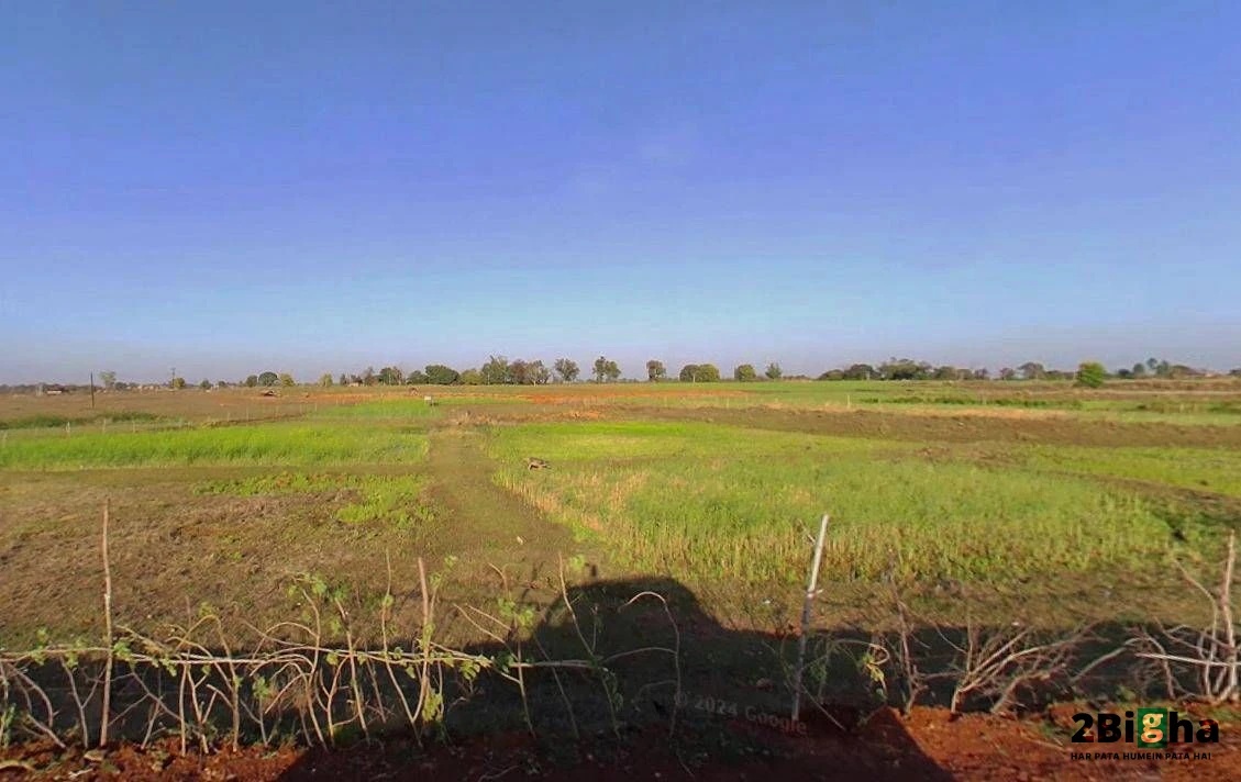 Kothi, Madhya Pradesh 485666, India