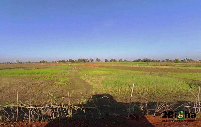 Kothi, Madhya Pradesh 485666, India preview 3