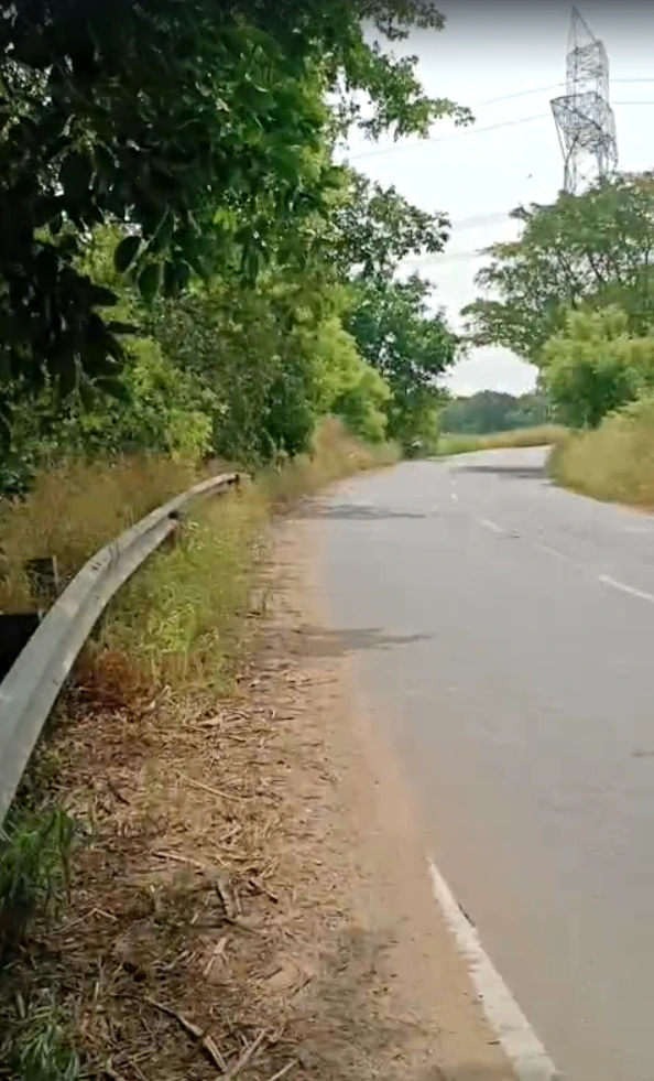 JXRQ+5VR, Alavas Baturi, Uttar Pradesh 203402, India