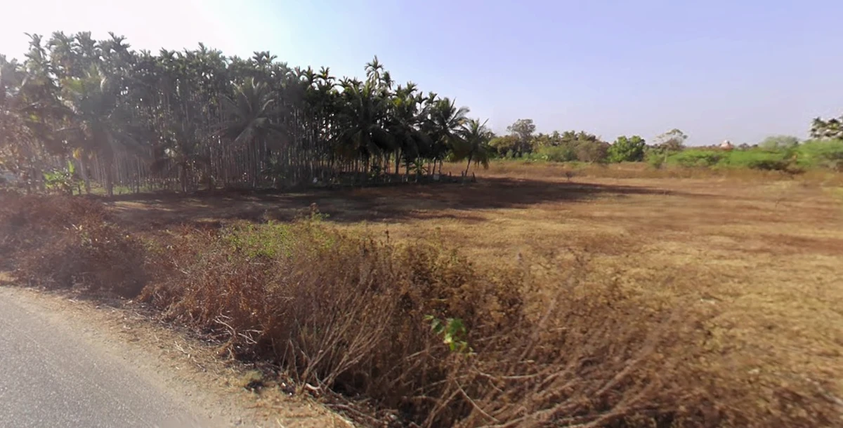 Nagavalli, Karnataka, India
