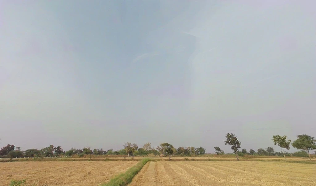 Pendari, Chhattisgarh 495003, India