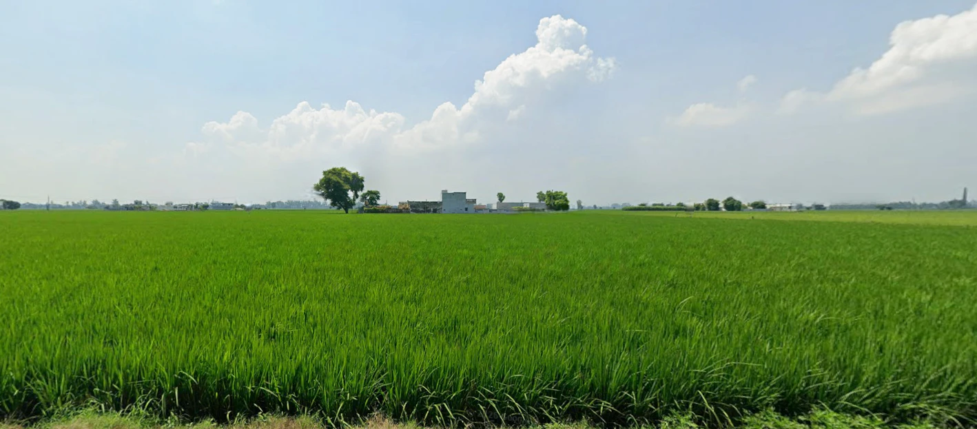 New Chandigarh, Punjab 140901, India