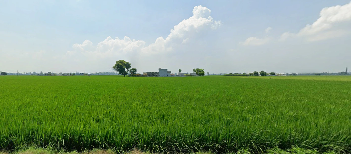 New Chandigarh, Punjab 140901, India