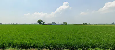 New Chandigarh, Punjab 140901, India preview 2