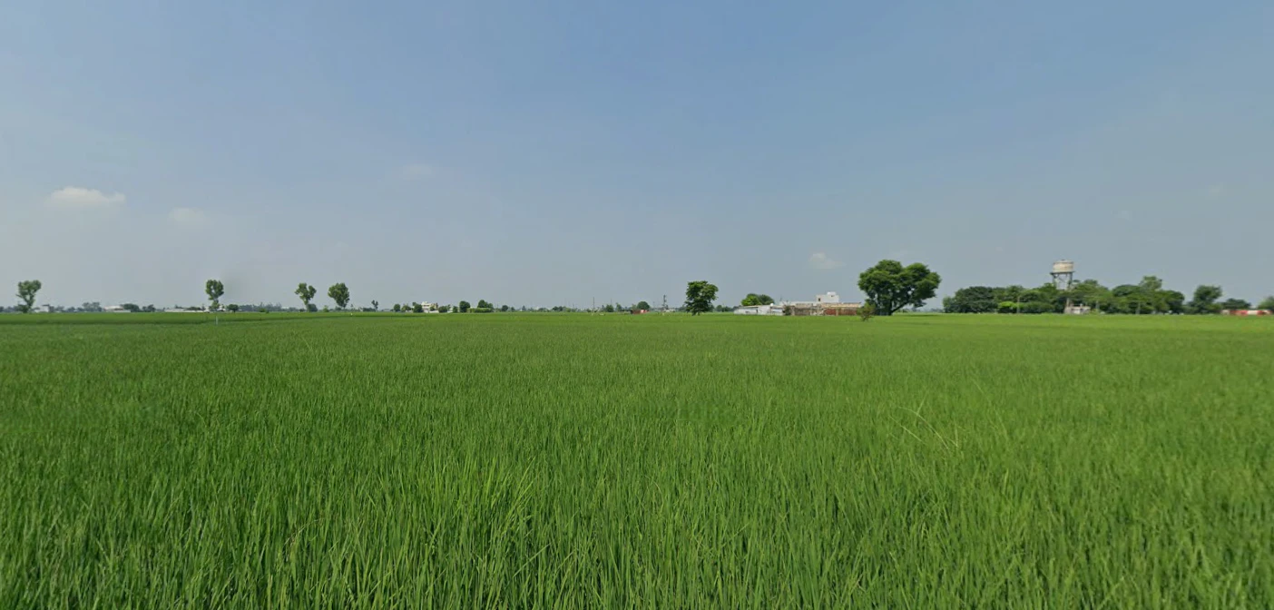 Zirakpur, Punjab, India
