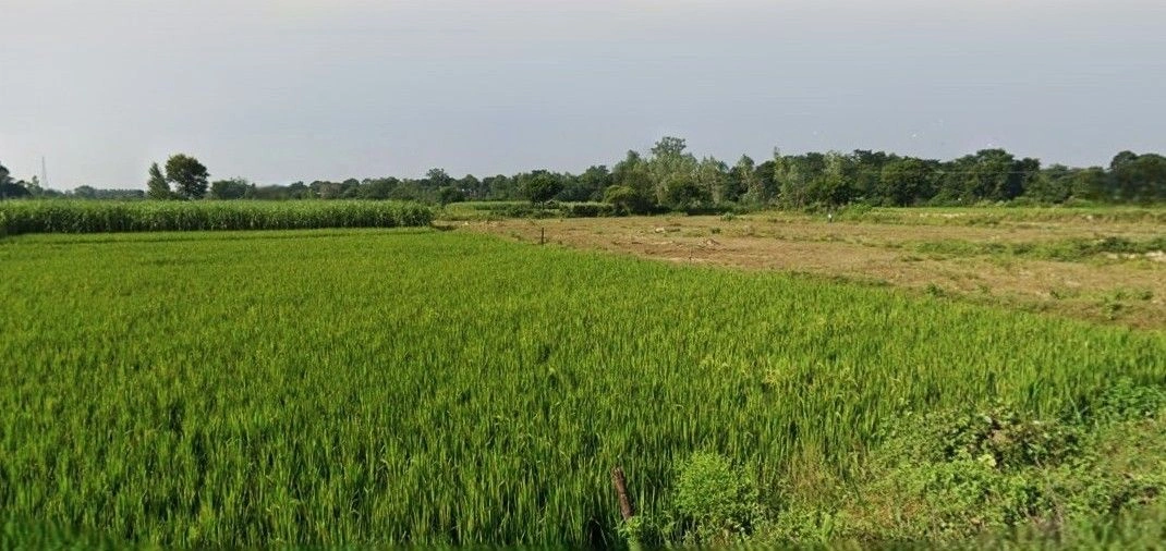 Sikandrabad, Uttar Pradesh 203205, India