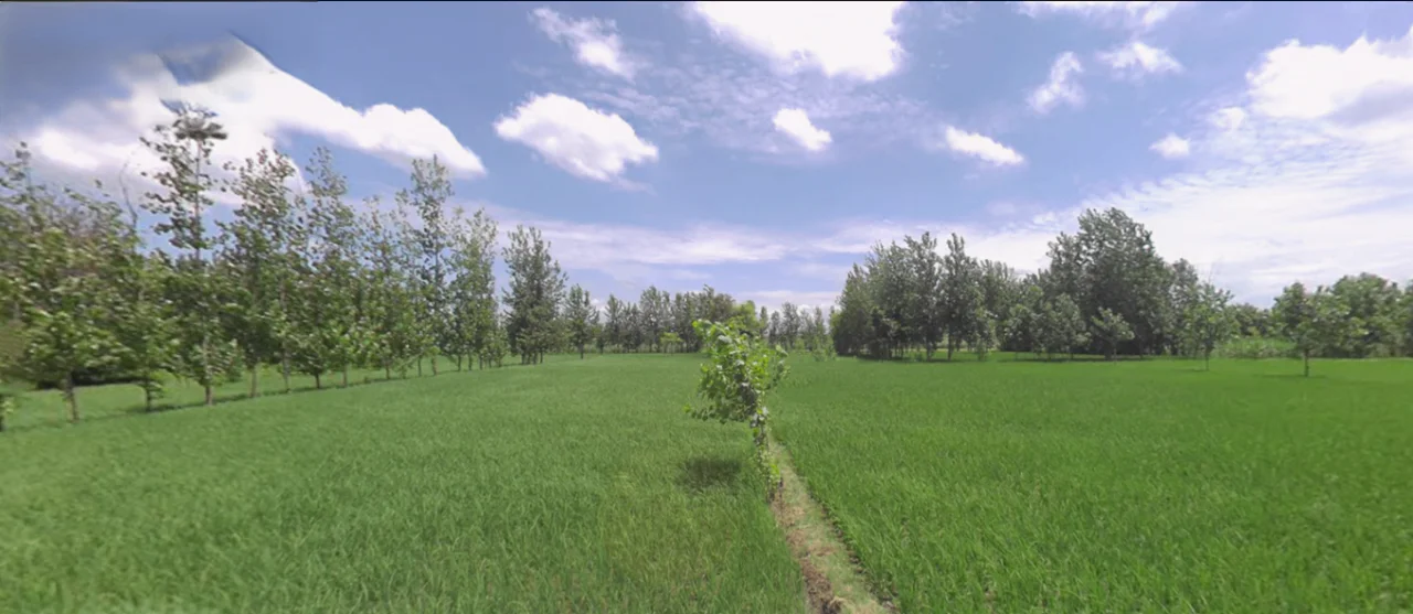 Dehradun Rd, Chhutmalpur, Uttar Pradesh, India preview 2