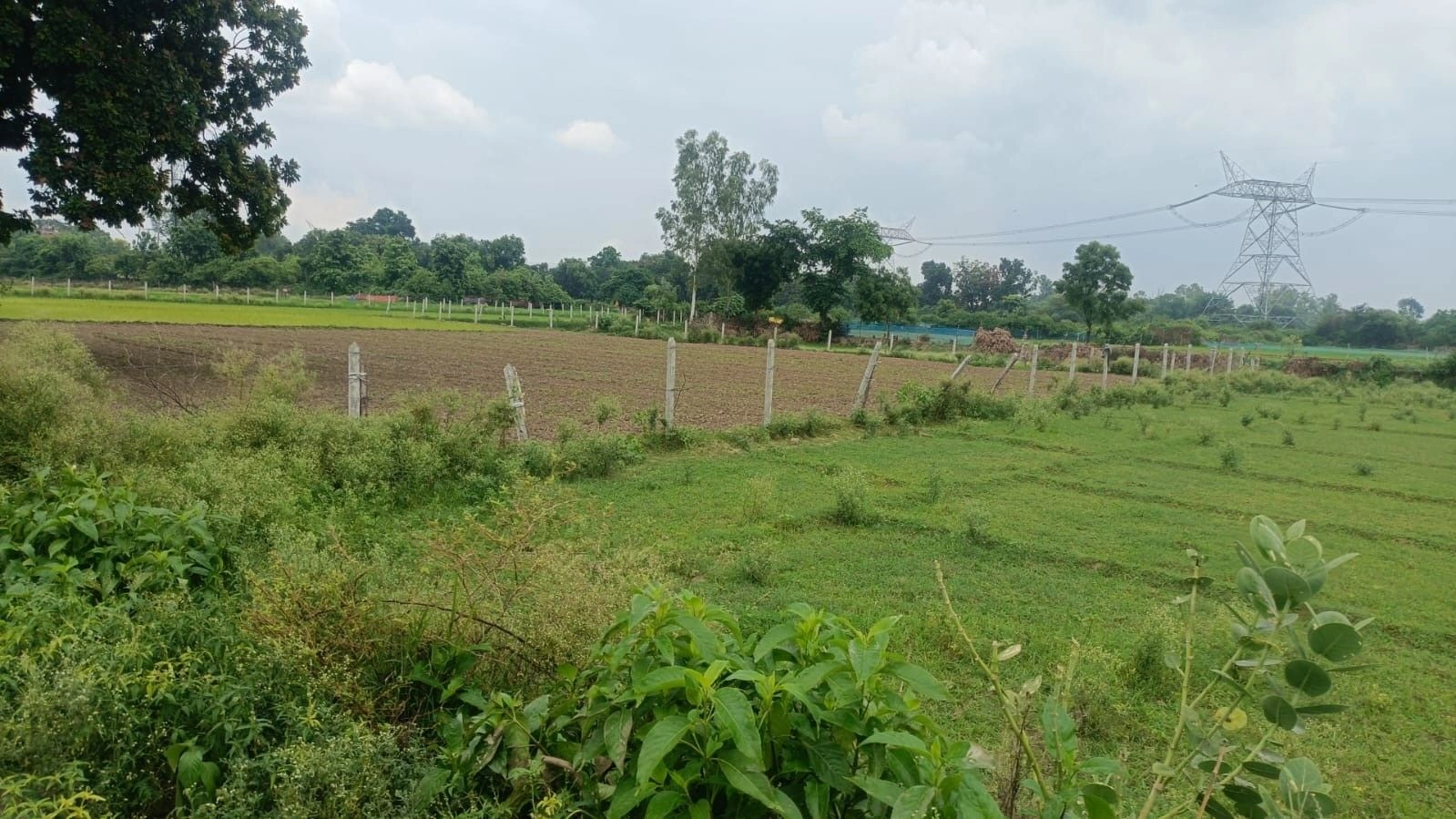Kalapipal, Rajgarh, Madhya Pradesh 465691, India
