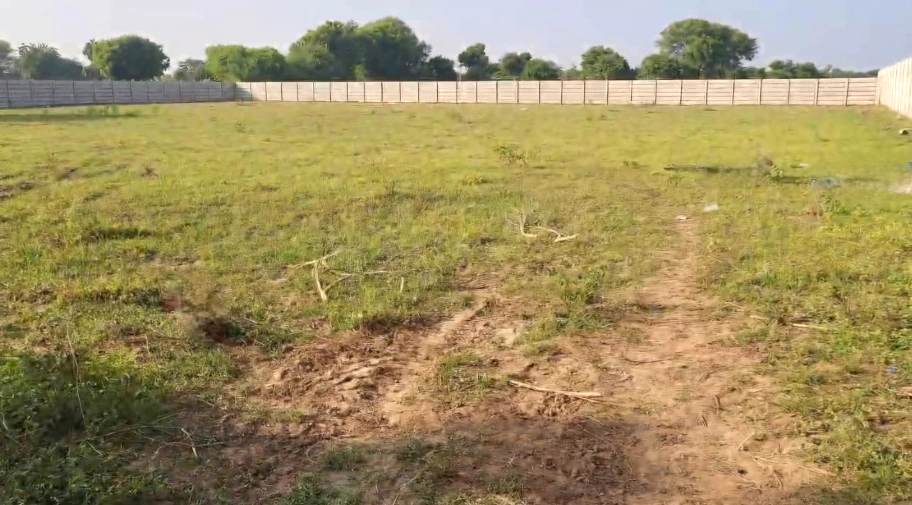 6RJV+87G, Vardhana Muvada, Gujarat 382305, India