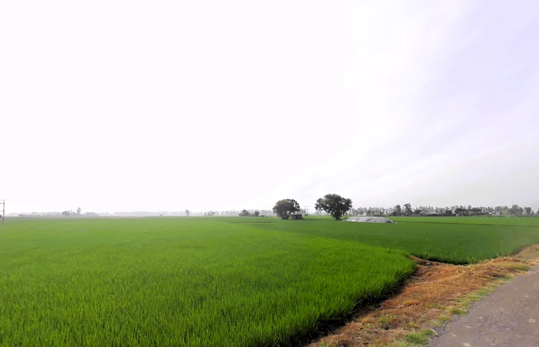 Nissing, Haryana 132024, India preview 3