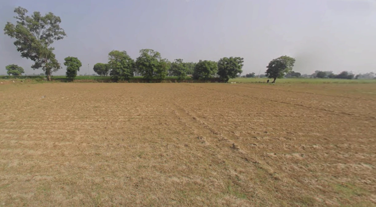 Nakodar, Punjab 144040, India