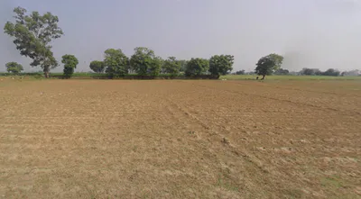 Nakodar, Punjab 144040, India preview 2