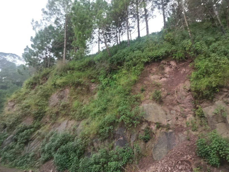 Panjhal, Himachal Pradesh 173001, India preview 3