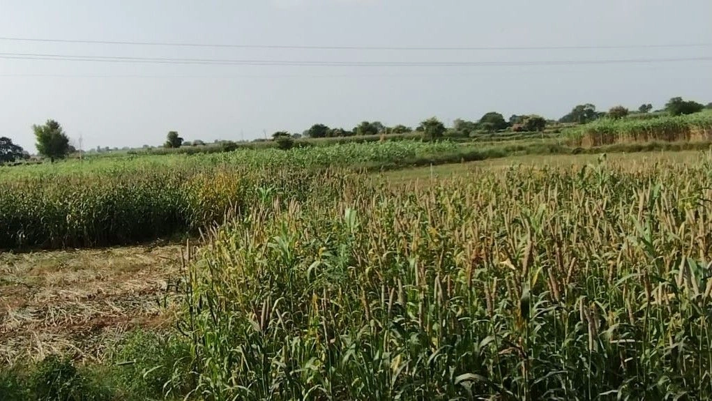 Naugaon, Rajasthan 301025, India