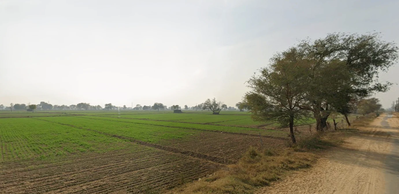 Kaimri, Haryana 125005, India