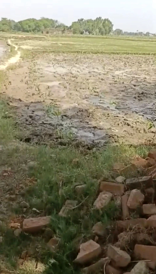 Anupshahar Khadar, Anupshahr, Bulandshahr, Uttar Pradesh, India