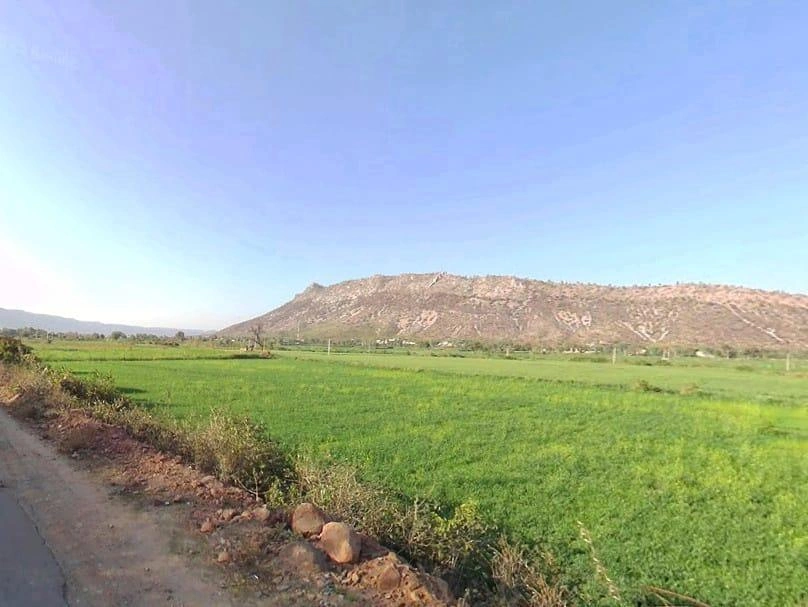 Dhahlavas, Rajasthan 301001, India