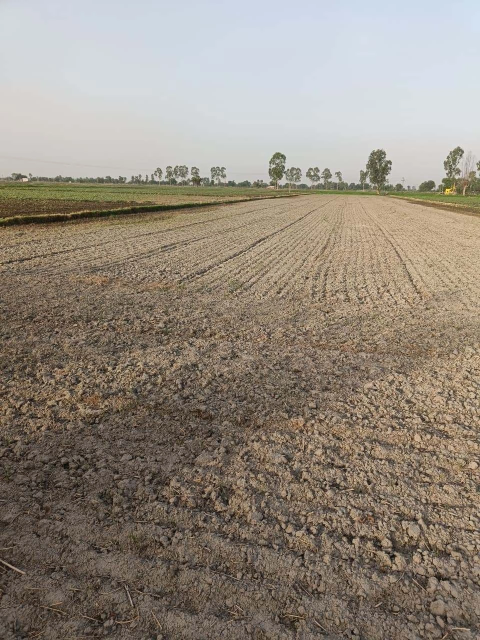 Tentigaon, Uttar Pradesh, India
