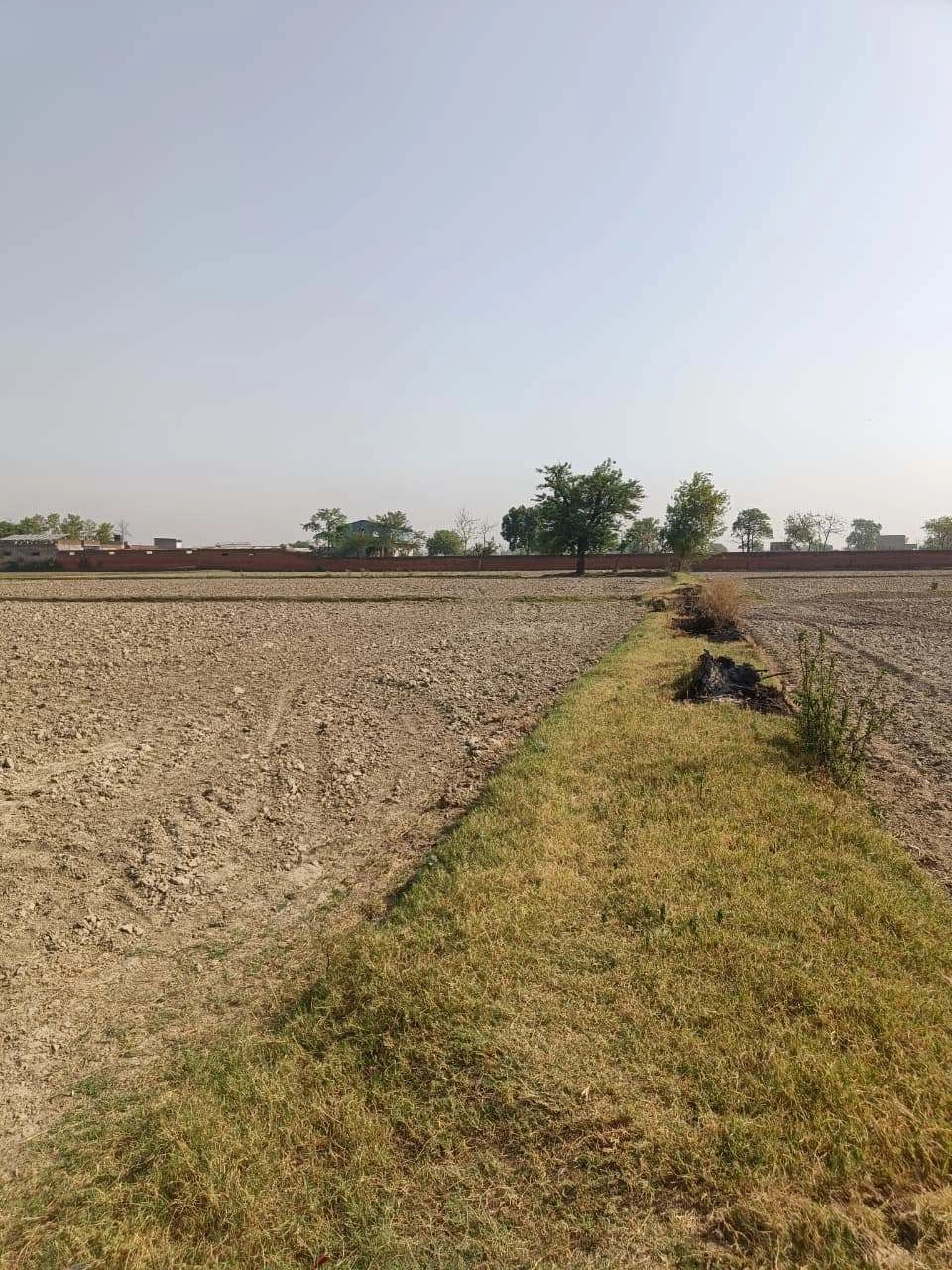 Ajhai Kalan, Uttar Pradesh 281406, India
