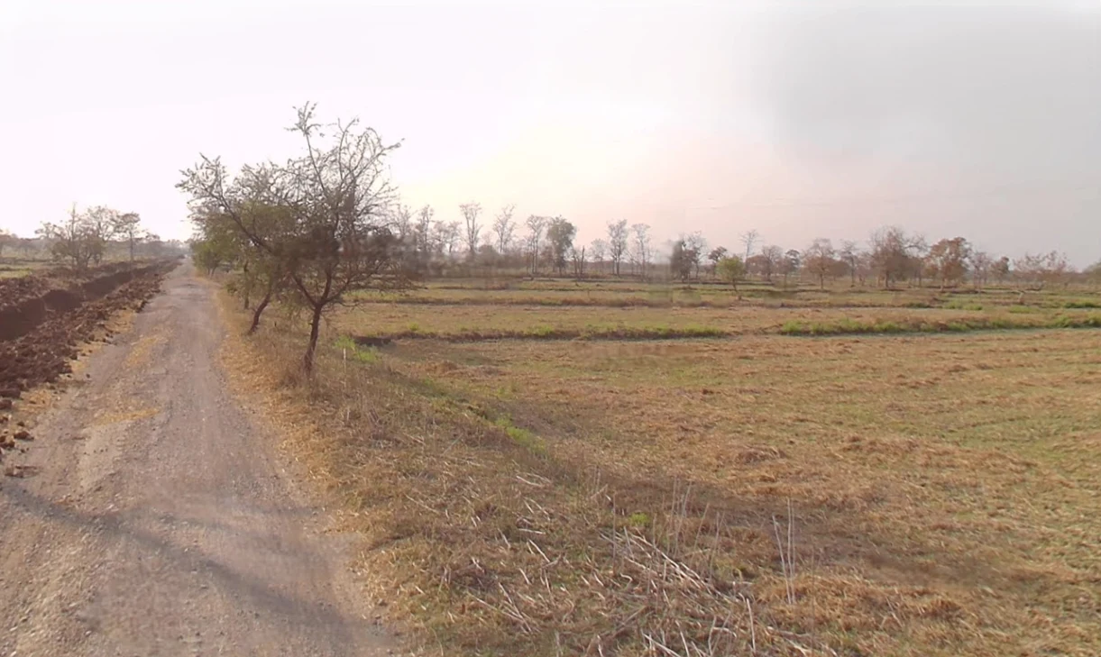 Medesara, Chhattisgarh 490036, India