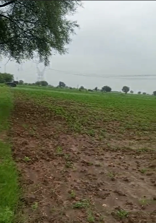 484, Chhatarpur, Mahaarajpur, Madhya Pradesh 471501, India