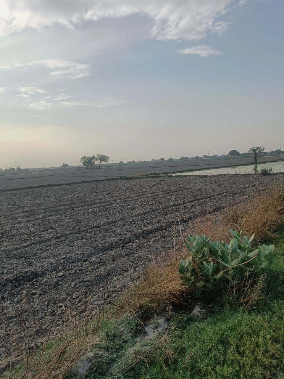 Aou, Rajasthan, India