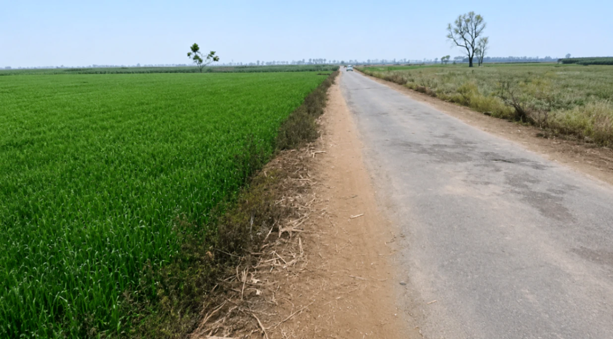 Nighasan, Lakhimpur Kheri, Uttar Pradesh 262903, India