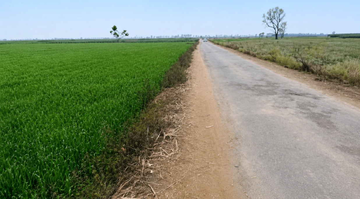 Nighasan, Lakhimpur Kheri, Uttar Pradesh 262903, India