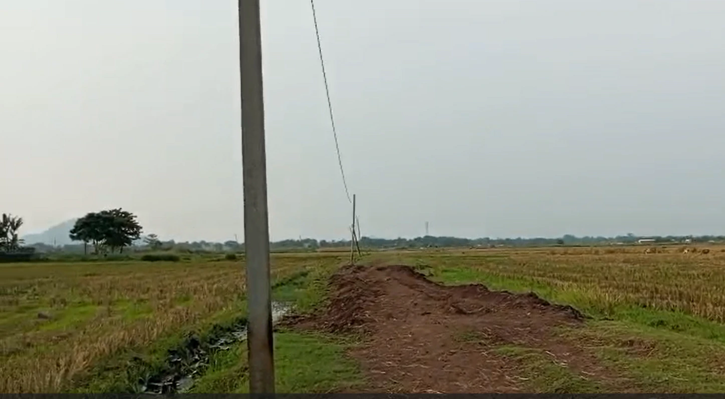Sadwara, Datia, Madhya Pradesh, India