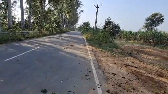 Mozamabad-Jwalagarh, Uttar Pradesh, India preview 4