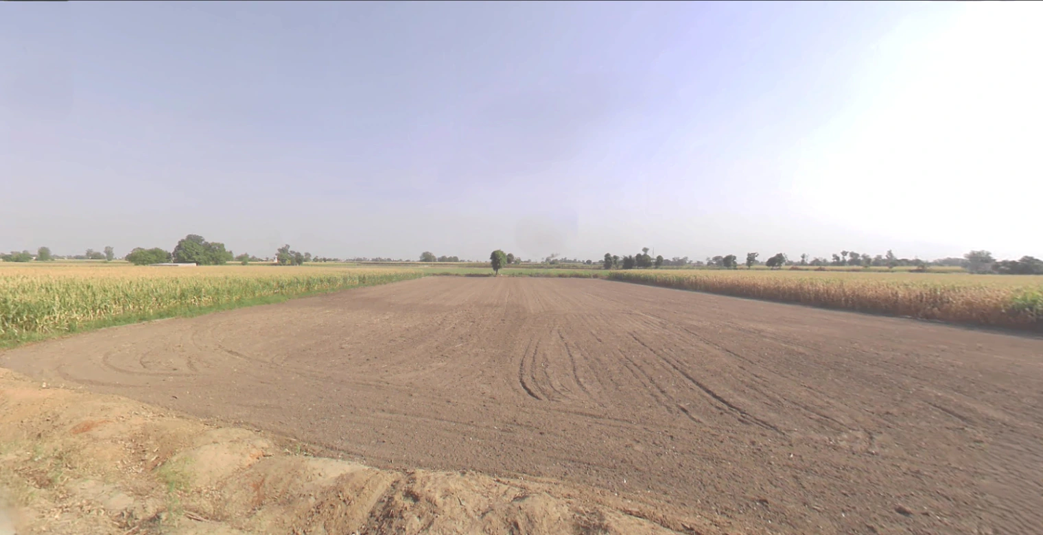 Hasanpur, Uttarakhand 247662, India