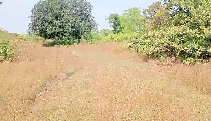 69X2+JGW, Raigad, Palasgaon Kh., Maharashtra, India - Photo 2