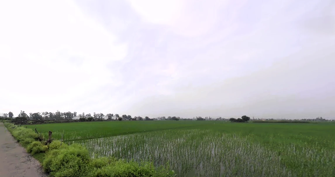 Assandh, Haryana 132039, India