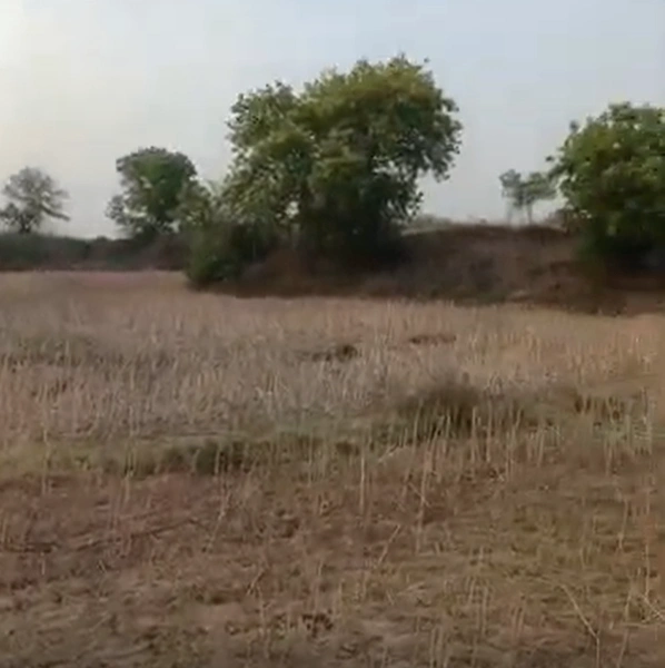 Kurai, Madhya Pradesh 480880, India