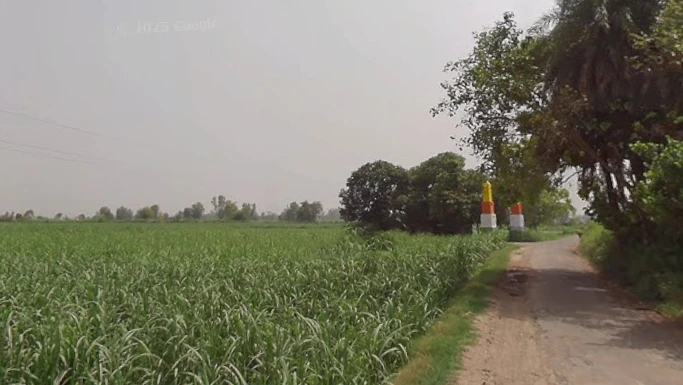 Mawana, Uttar Pradesh, India