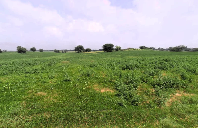 Tosham, Haryana 127040, India preview 3