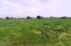 Tosham, Haryana 127040, India preview 3