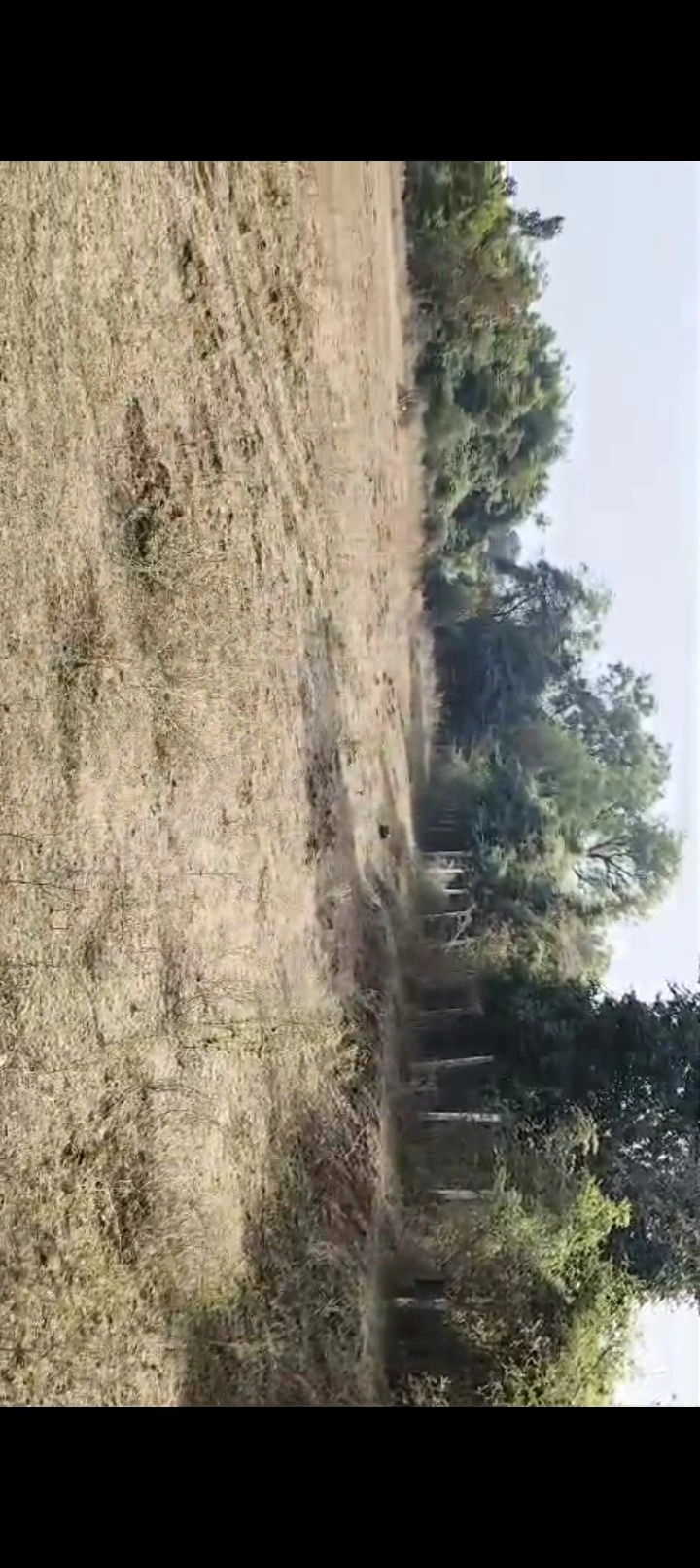 Himatnagar, Gujarat, India