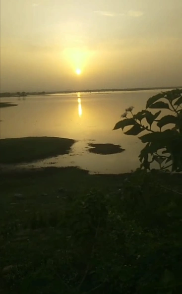 JXPM+4H Beejana, Rajasthan, India