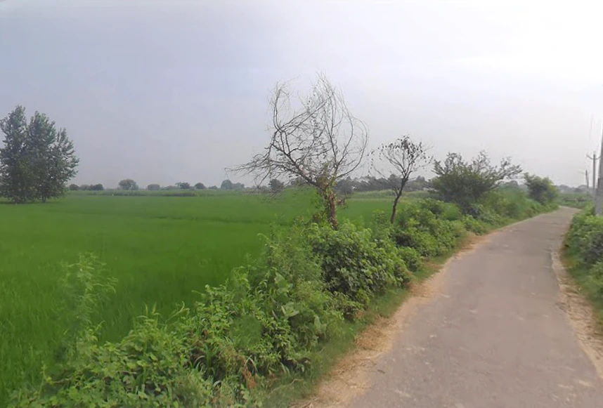 Naiphal Urf Uchangaon, Uttar Pradesh 203131, India