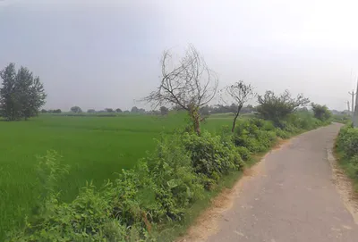 Naiphal Urf Uchangaon, Uttar Pradesh 203131, India preview 2