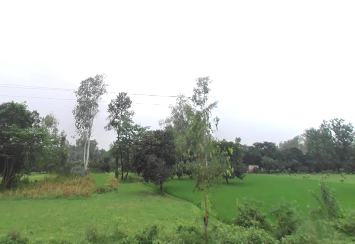 Naghla Jhanda, Uttar Pradesh, India