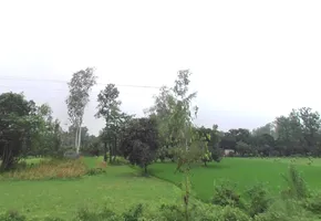 Naghla Jhanda, Uttar Pradesh, India preview 2