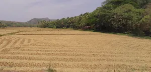 Vadakkencherry, Kerala, India preview 2