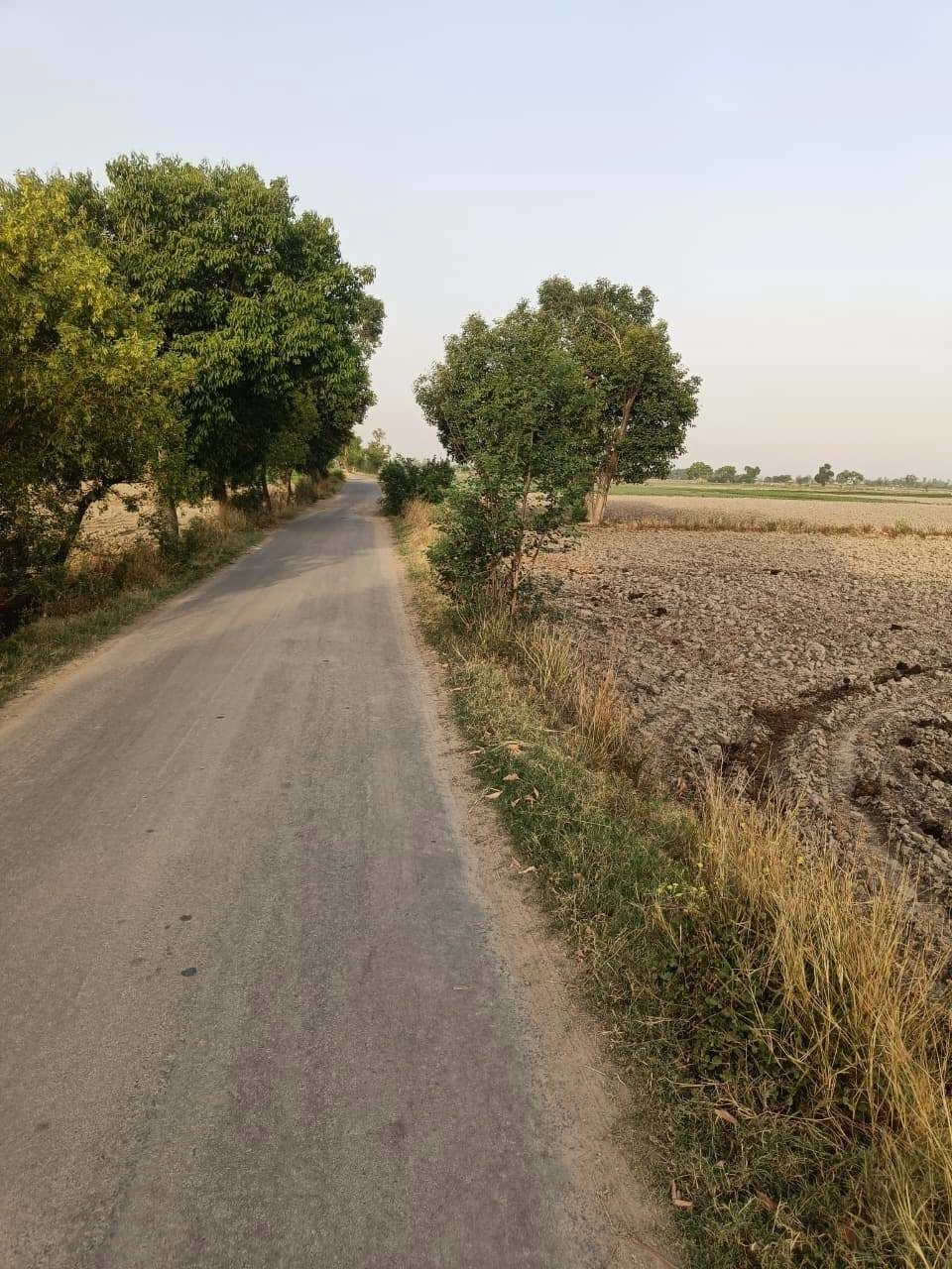 Ranjeetpura, Bikaner, Rajasthan 334305, India