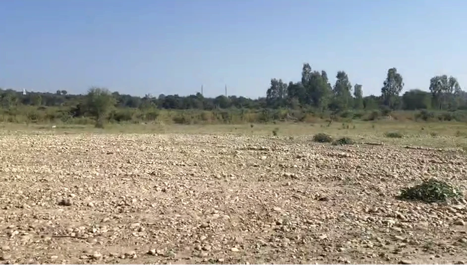 Pojewal, Punjab 144524, India