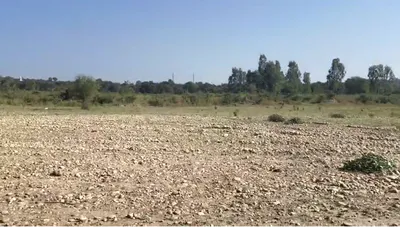 Pojewal, Punjab 144524, India preview 2