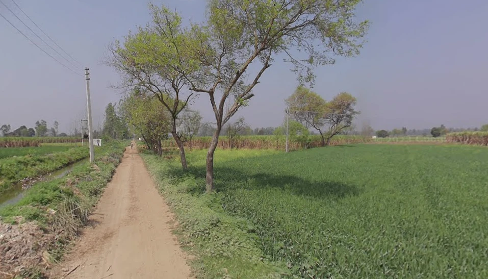 Mawana Kalan, Uttar Pradesh, India