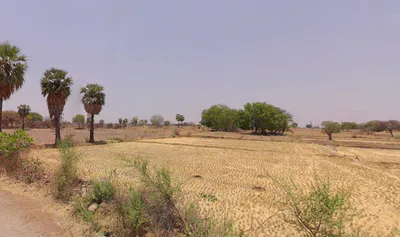 MVWC+J5 Turpupally, Telangana, India preview 3